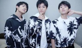 tfboys圈内爆料,圈内爆料大揭秘