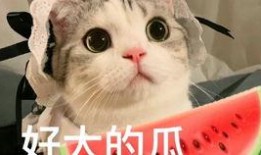 网红吃瓜vx,揭秘娱乐圈幕后真相，带你领略网络红人的真实生活