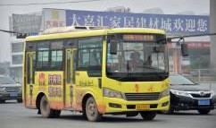 116路公交车爆料视频,一幕幕温馨瞬间引网友热议