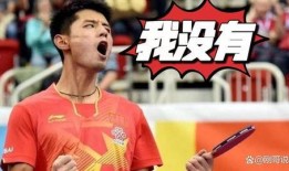 最新爆料张继科视频,揭秘运动员背后的故事