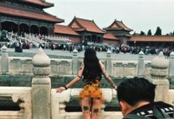 故宫最新爆料事件视频播放