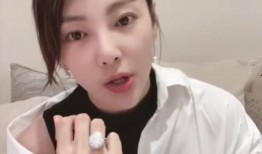 圈内爆料张雨绮有多少钱,圈内爆料，她究竟有多少钱？