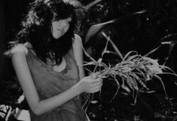 黑白森林在线观看,在线揭秘神秘森林的奇幻之旅