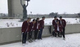 维也纳最新爆料,揭秘神秘事件背后的真相