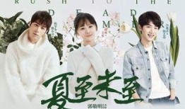 夏至未至 在线 观看,青春记忆的温暖回响