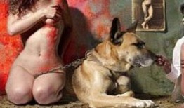 性兽在线观看,揭秘网络色情陷阱的惊悚之旅