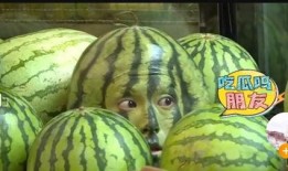 顶流瓜爆料最新,独家爆料，真相大白！