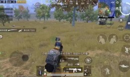 击杀秀最新爆料视频,揭秘幕后英雄的惊险瞬间