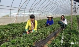 田园吃瓜写真在线观看免费,免费在线观看田园吃瓜写真集