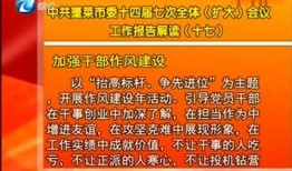 最新蓬莱爆料新闻报道图片,揭秘神秘事件背后的真相