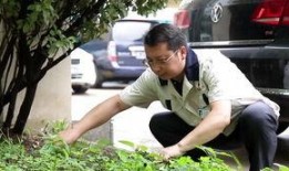 陈氏果业爆料事件视频完整版