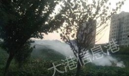 镇江大港新区爆料案件最新,神秘案件引发社会关注