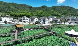 农村美景大爆料视频,农村美景大揭秘