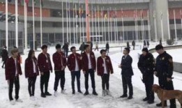 维也纳最新爆料,揭秘神秘事件背后的真相