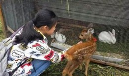 狍子先生爆料视频播放在线观看,独家解析幕后真相