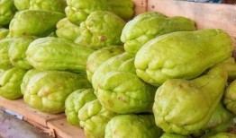 网红吃佛手瓜是真的吗还是假的,揭秘真相，是炒作还是真实体验？