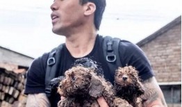 爆料救助狗狗视频播放在线观看,温情满满引网友泪目