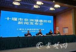 猪瘟最新爆料新闻发布会,新闻发布会揭露关键信息