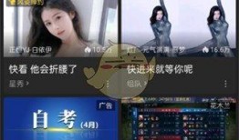 阿鸿直播回放视频爆料,独家爆料背后的精彩瞬间