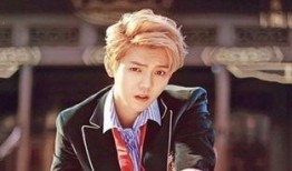 鹿晗黄子韬关系圈内爆料,圈内爆料揭示兄弟情深与误解纠葛