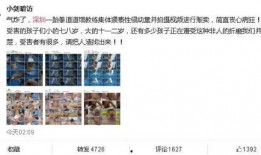 松柏道馆爆料事件视频,揭秘幕后的真相与争议