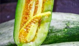 网红吃瓜一般在哪里看的,揭秘热门八卦聚集地