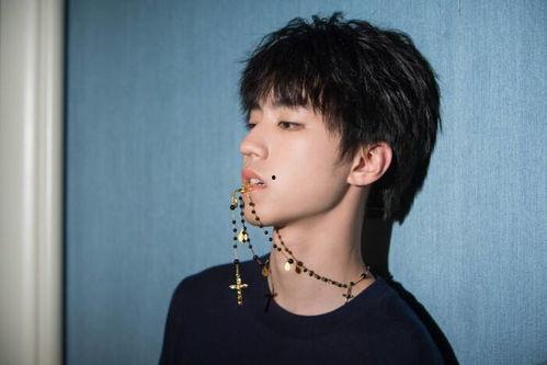 娱乐吃瓜蜀黍王俊凯小说,娱乐圈的甜蜜瓜田